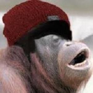 Meet your Posher, Deacon